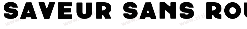 Saveur Sans Round字体转换